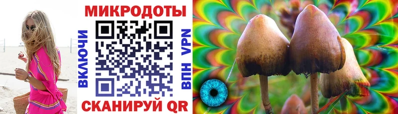 купить наркотик  Карасук  ссылка на мегу как зайти  Галлюциногенные грибы Magic Shrooms 